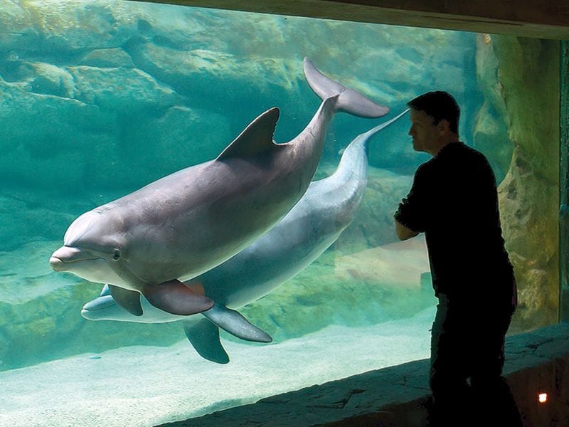 20230515 sea world