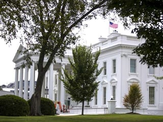 Trump says White House to host UFC fight on his 80th birthday