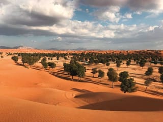 What's causing Al Ain's rain and thunderstorms amidst scorching UAE heat? 