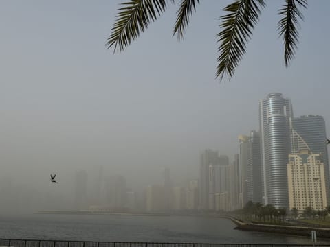 Fog expected tomorrow as humidity rises across parts of the UAE