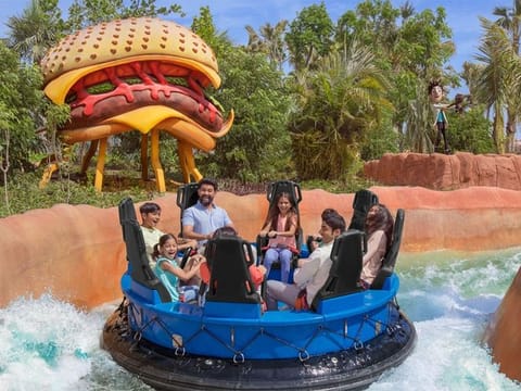 Ain Dubai and Dubai Parks among popular UAE destinations closed today for safety measures