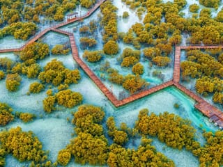 Abu Dhabi launches landmark biodiversity policy to safeguard ecosystems
