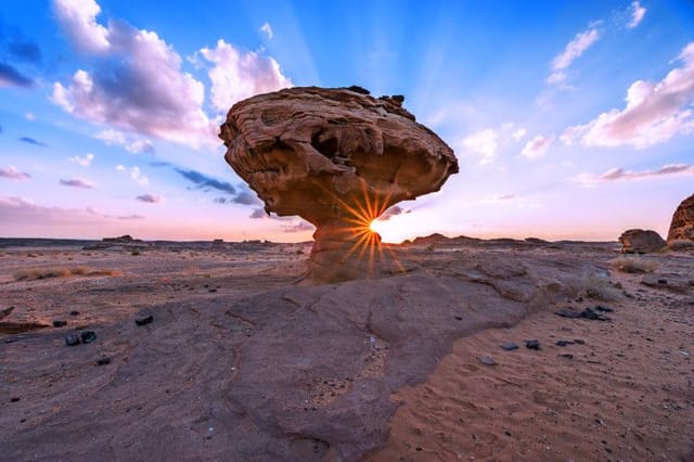 In AlUla’s Sharaan nature reserve, mushroom-shaped rocks stand as striking natural wonders. The most famous formation, sculpted over millions of years, owes its shape to erosion, where wind wears away the softer lower layers of sandstone more quickly. Covering 1,500 square kilometres of red-rock canyons, desert valleys, and seasonal wildflowers, the reserve is dedicated to protecting and restoring AlUla’s fragile ecosystem. Conservation efforts are underway to help native flora and fauna reclaim their natural habitat.