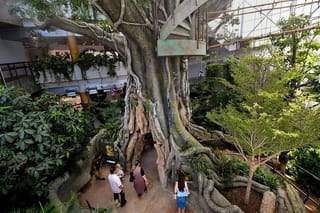 UAE: Top 5 indoor attractions in Dubai to enjoy with family this Eid Al Adha and escape the summer heat
