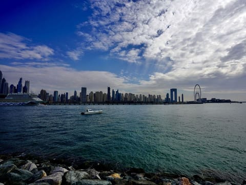 Goswami, who is an avid photographer and works as a chartered structural engineer, captured the Ain Dubai gleaming in the sunshine along with the Marina skyline in this photograph.