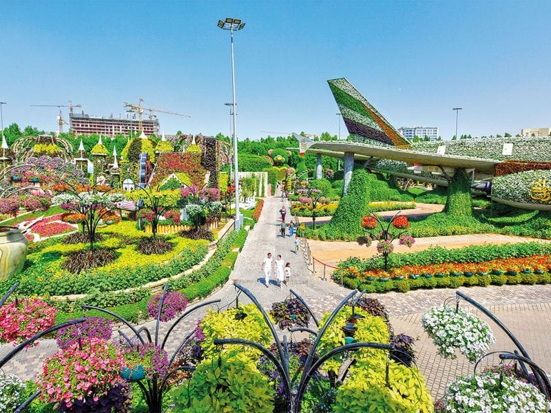 20221016 dubai miracle garden