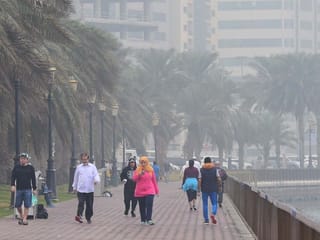 UAE weather alert: Rain, fog and mist in the coming days