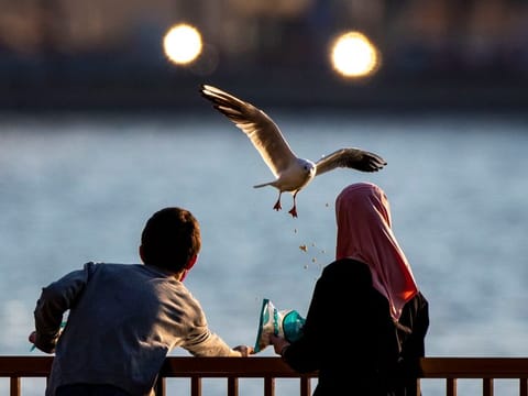 Dusty gusts and temperature drop sweep across the UAE