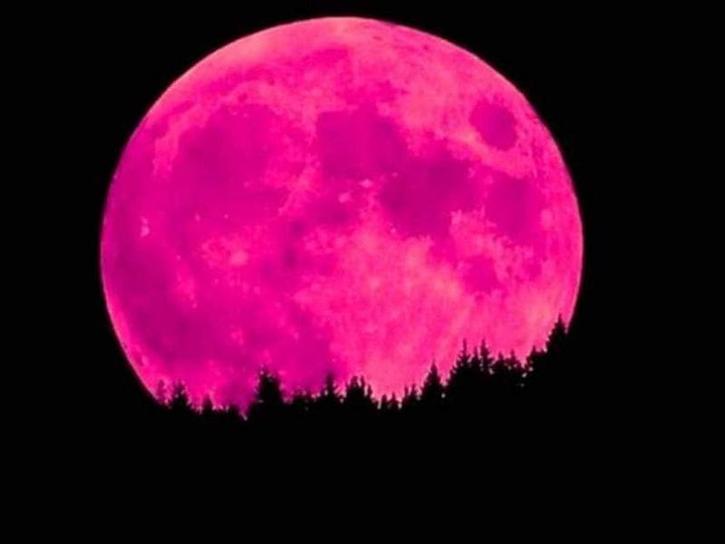 UAE to Witness Rare Blue Moon and Meteor Shower in May — image 4