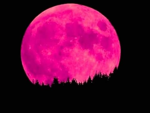 Although the strawberry moon won't be pink in colour, it will appear brighter and larger than usual.