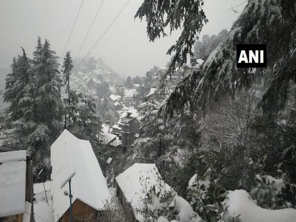Visuals from Jakhoo area of Shimla 