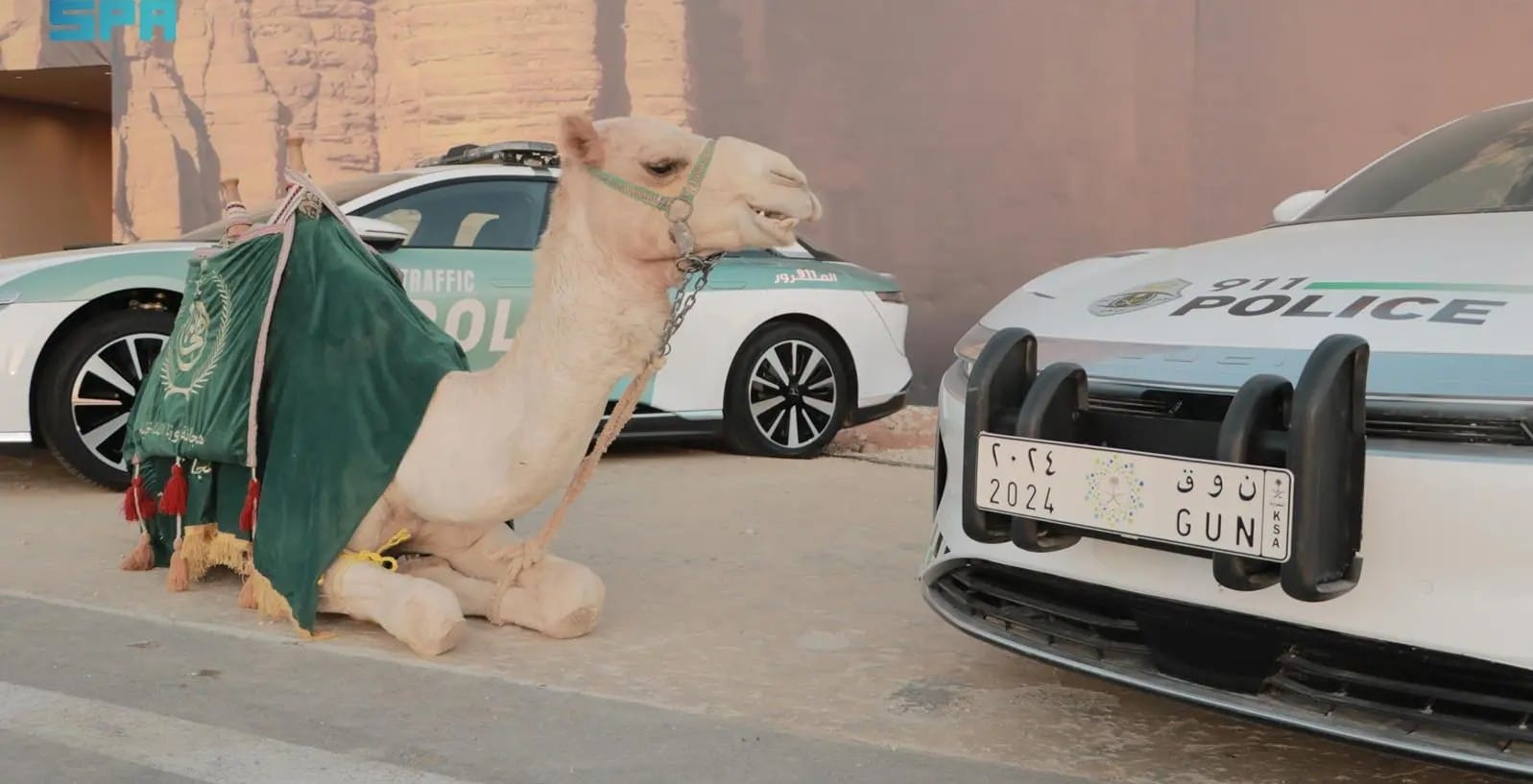 Saudi security camel electric car