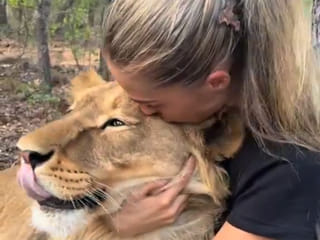 Viral video of woman embracing lion like a pet stuns netizens