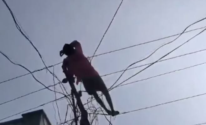The incident occurred in M Singipuram village in Palakonda Mandal on Tuesday, December 31.