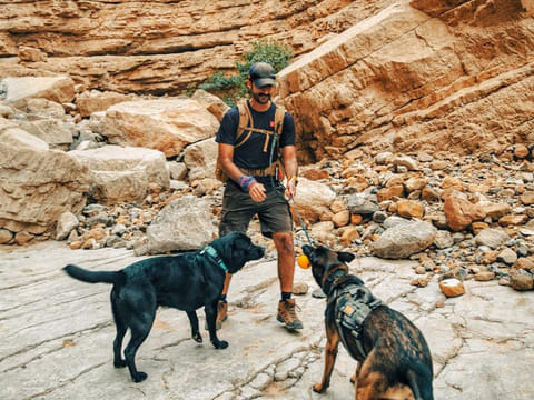 Hussain Darwish, a Dubai-based businessman, has been hiking with his dogs in the UAE since 2008-2009.