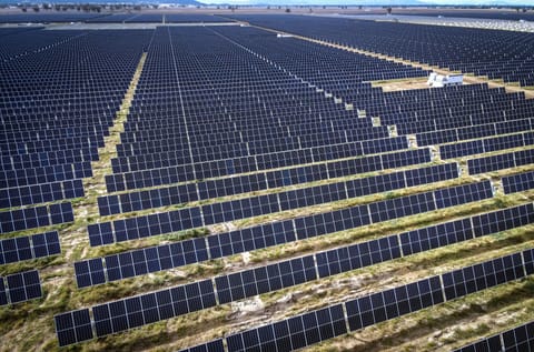A solar farm: Europe has ramped up its green energy credentials. As the bloc transitions to clean energy, the share of renewables, including solar and wind power, rose to 47% in 2024, a huge jump from 34% in 2019.

