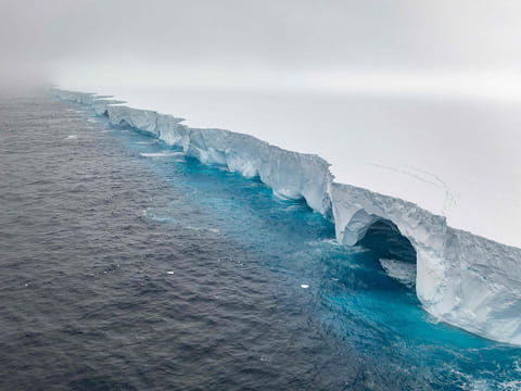 The world's biggest iceberg appears to have run aground roughly 70 kilometres from a remote Antarctic island, potentially sparing the crucial wildlife haven from being hit, a research organisation said Tuesday.