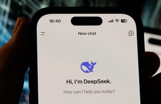 DeepSeek’s AI restricted by ‘hundreds’ of companies in days