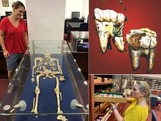 3 million years ago, our ancestors were vegetarian: Here’s the evidence, why it matters