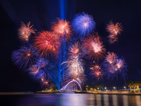 Port City Colombo celebrates achievements of 2024 and welcomes 2025 with a spectacular fireworks show