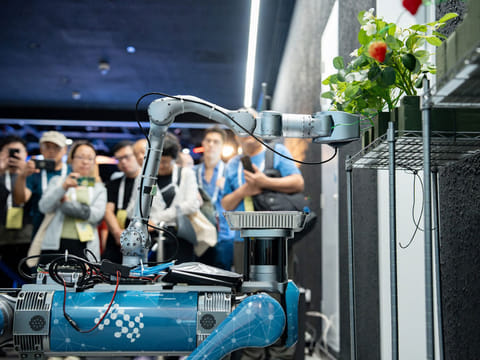 The ‘Strawberry Picker’ bot project led by professors from the robotics department at Mohamed Bin Zayed University of Artificial Intelligence (MBZUAI), is done in collaboration with machine learning and computer vision