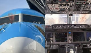 Boeing 737 plane makes emergency landing after swans smash into windscreen