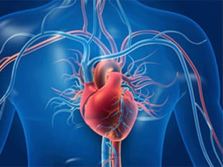 A rare cardiac recovery in China is drawing global attention to life-support advances.
