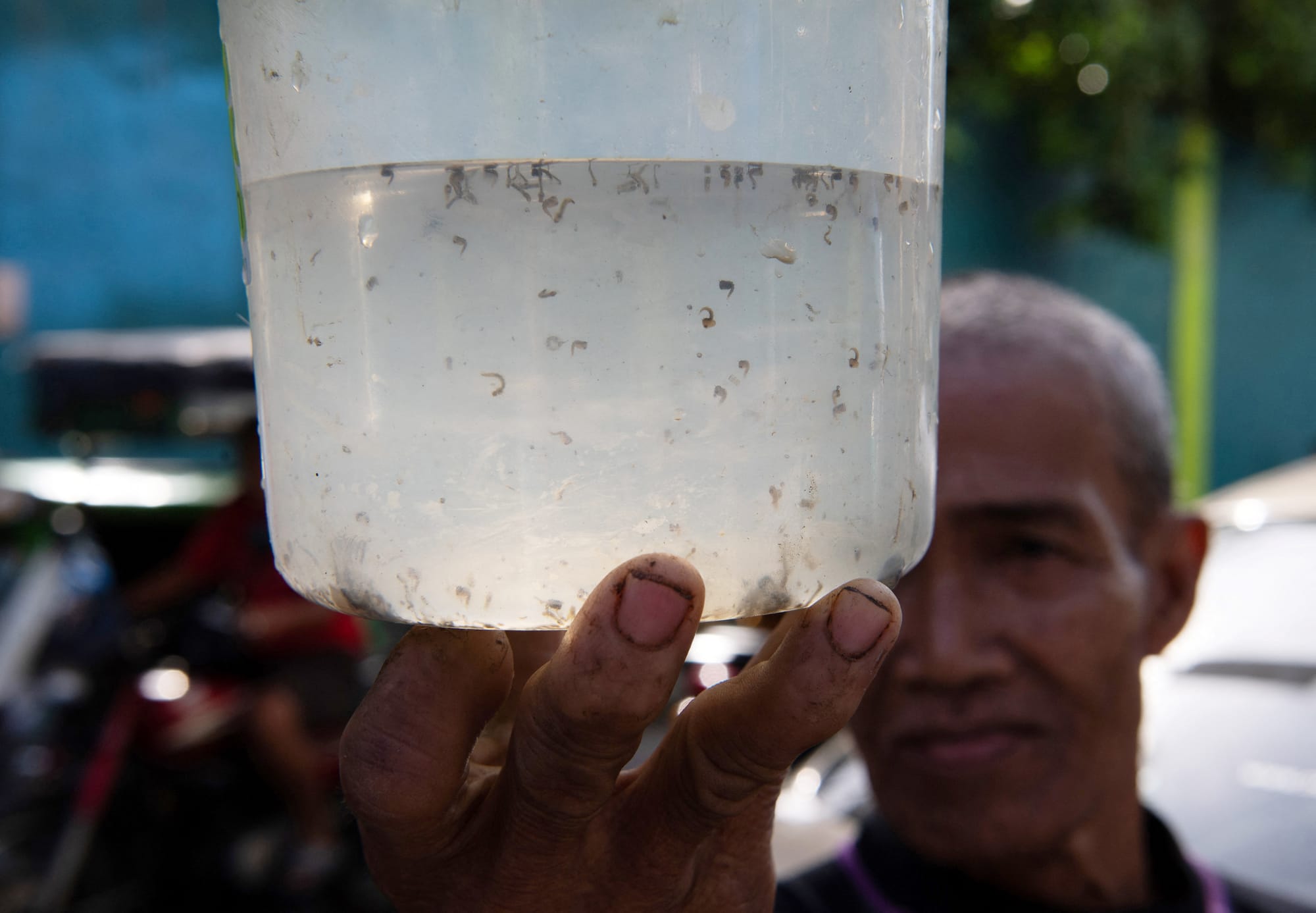 Resident Miguel Labag shows a plastic container with mosquito larvaes as he prepares to hand them over in exchange for pesos as part of the village program "peso for a mosquito" to eradicate dengue at a village in Manila on February 19, 2025.