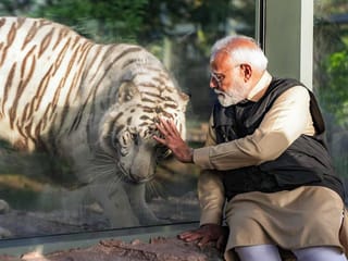 Photos: PM Modi inaugurates wildlife rescue and conservation centre Vantara in Gujarat