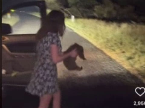 American outdoors influencer Sam Jones -- then places the wombat back on the side of the road.