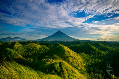 The nature scenes provoked decreased activity in a part of the brain involved in perceiving pain, called nociception.
