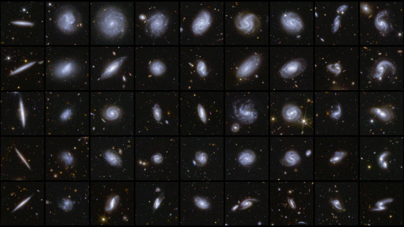 Euclids new image of examples of galaxies in different shapes, during Euclid first observations of the Deep Field areas.  