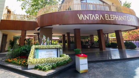 Vantara takes a nature-first approach to wildlife rescue and rehabilitation
