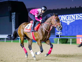 Dubai World Cup: Forever Young, Ushba Tesoro set for a fierce rematch