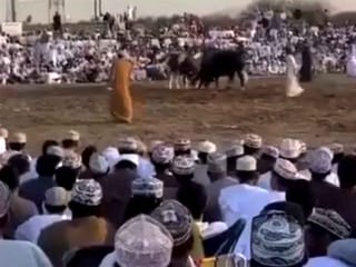 Video: Man gored to death in Oman as bull goes on a rampage