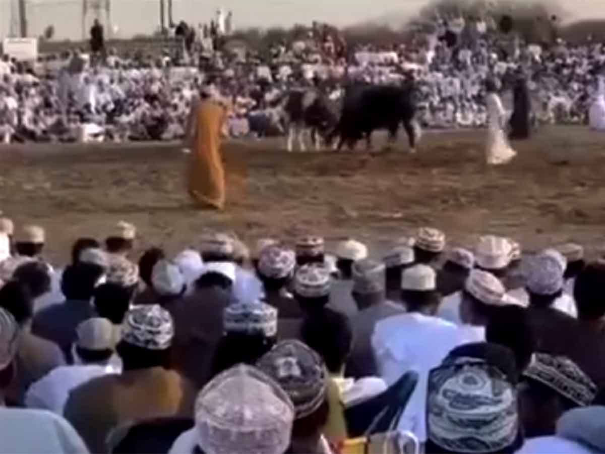 Despite a 2020 ban on the use of animals for entertainment and sports like bullfighting, these events are still organised on a weekly basis.
