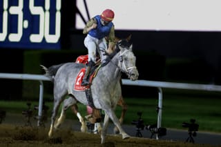 Hit Show powers to $12m Dubai World Cup victory