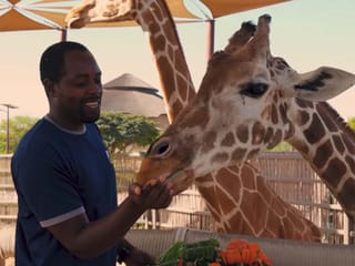 Watch: How Dubai celebrated its beloved giraffe’s 25th birthday at Safari Park