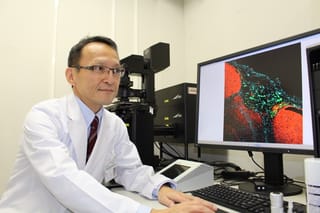 Reversing cancer? New gel converts tumour cells to stem cells in 24 hours