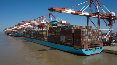 China's exports rose last month despite the trade war, official data showed Friday, an unexpected development attributed by experts to a re-routing of trade to Southeast Asia to mitigate US tariffs.