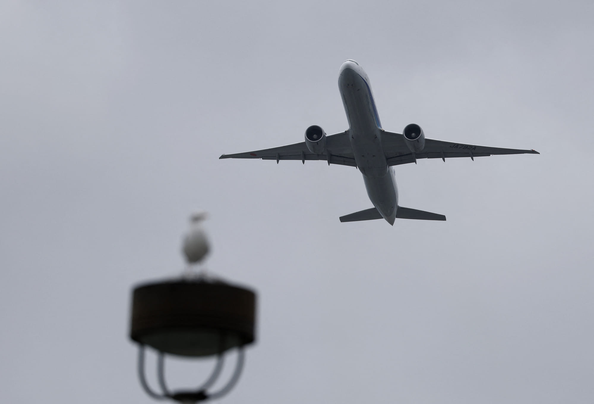 Fellow passengers and crew members had restrained the man while the plane was in the air.