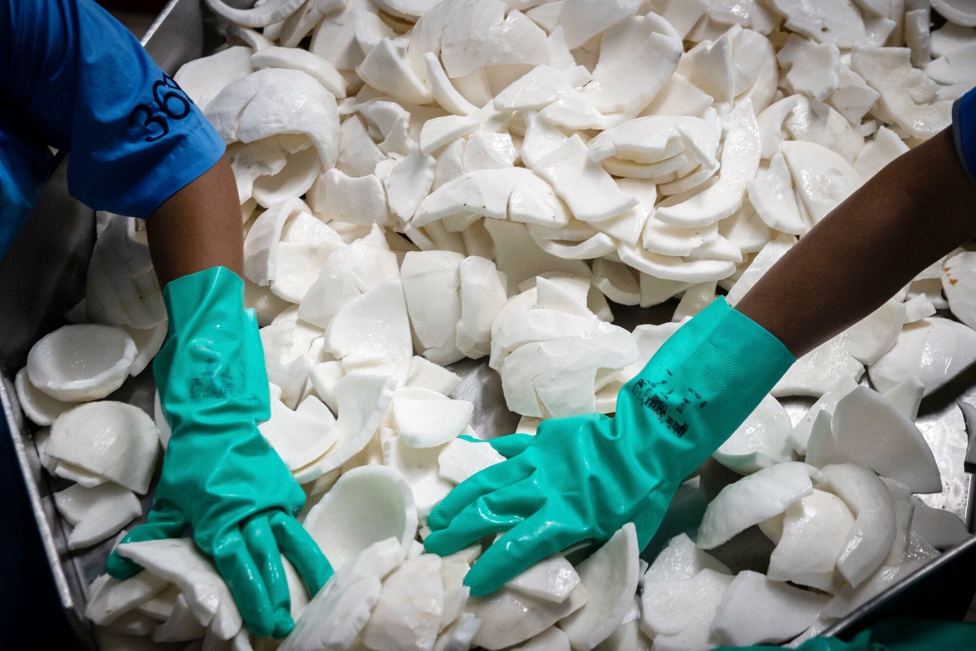 Inside a coconut milk production facility in Asia.