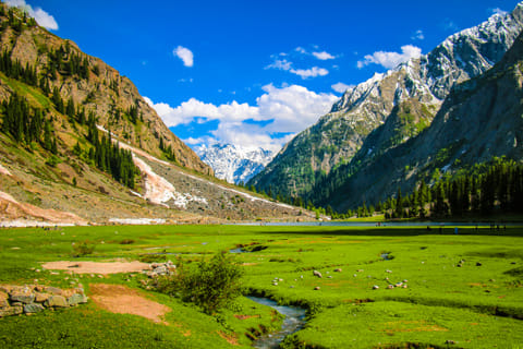 In a country with so much promise, several interlinked factors are contributing to Pakistan’s underwhelming performance on the SDGs.