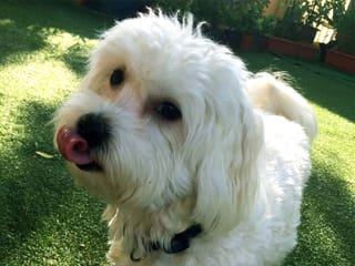 Got cute pets? Share their funniest moments and get featured!