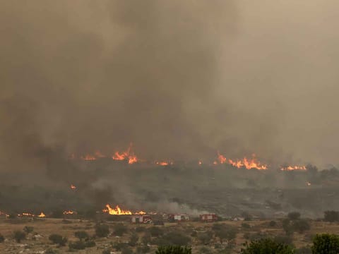 Flames engulf vegetation during a forest fire near the central Israeli town of Bet Shemesh on April 30, 2025. 