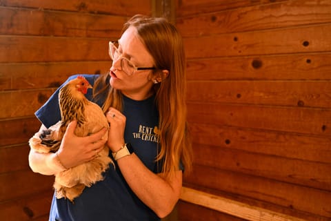 Victoria Lee holds one of her hens at her Agua Dulce farm while explaining the "Rent The Chicken" service, a growing backyard farming solution now available in over 40 North American cities.