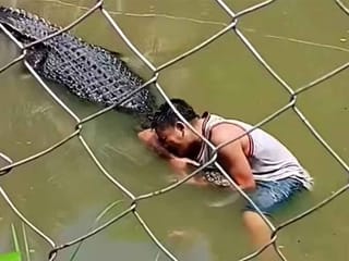 Selfie gone wrong: Tourist mistakes real crocodile for statue, mauled at Philippine mangrove park