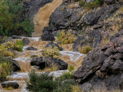 Rainy, cool weather draws crowds to Saudi Arabia's Al Baha during long weekend