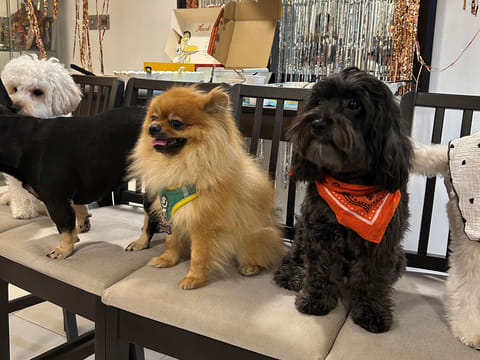 Rocket enjoys the company of his friends!
