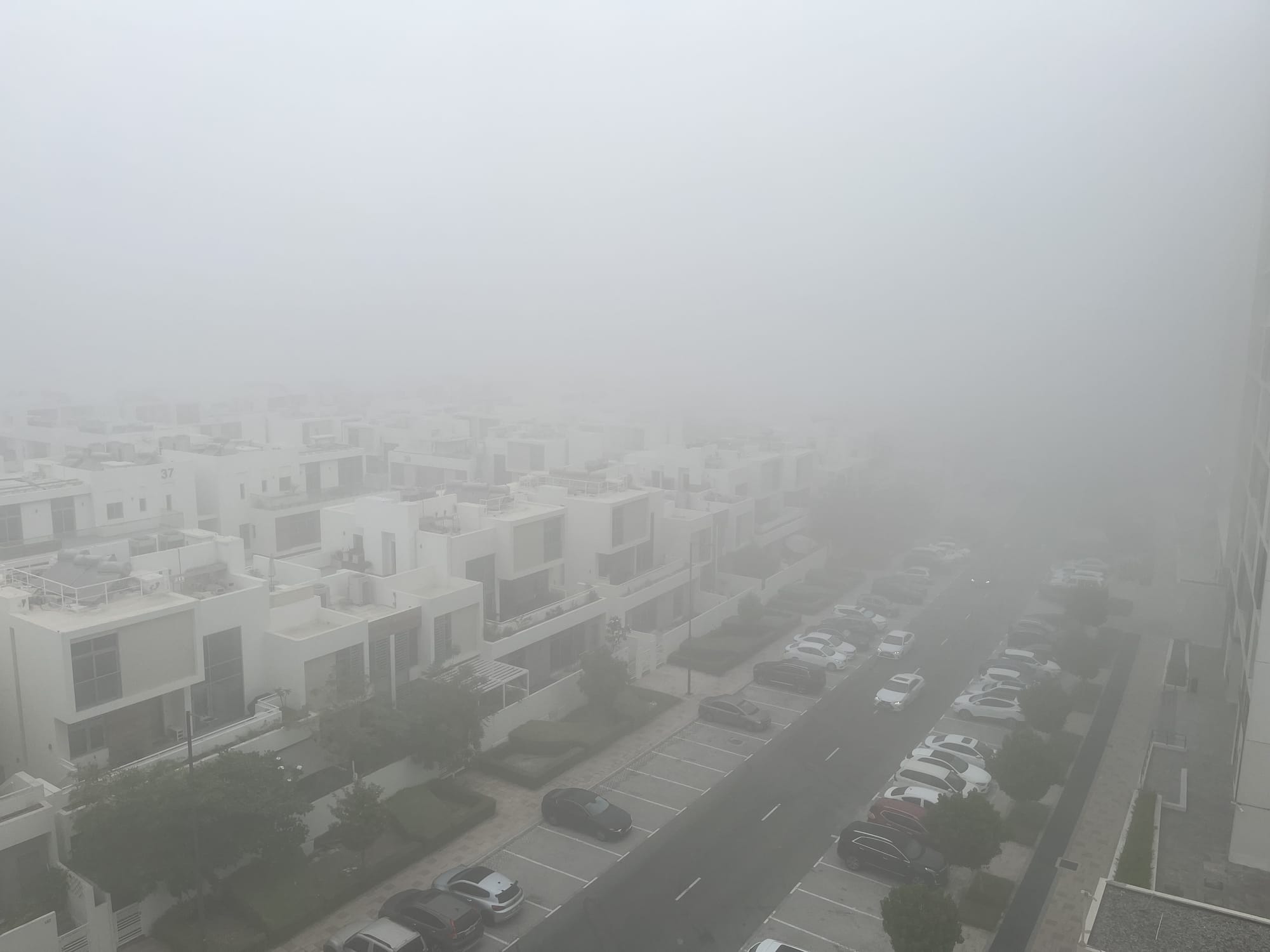 A thick blanket of fog covered Dubai South early this morning.
